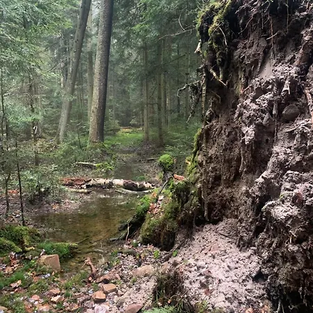 Dom Luny Kolo Lasu I Gory Swieta Katarzyna  Exterior photo